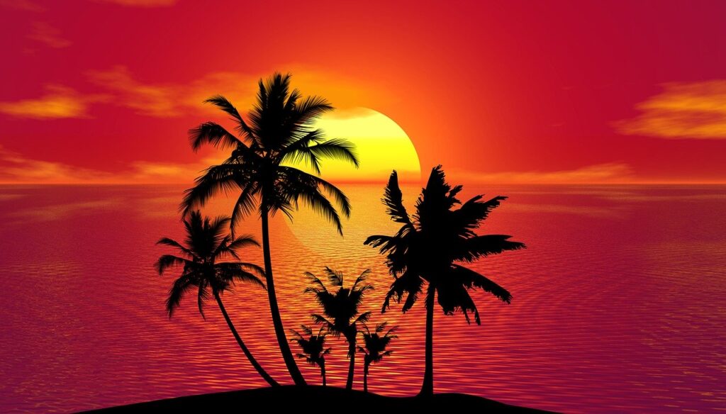 tropical, summer, sunset